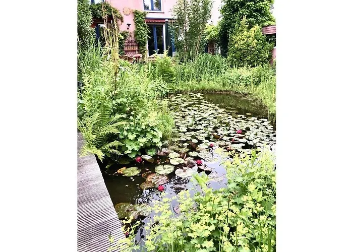 Comfortable In 公寓 *