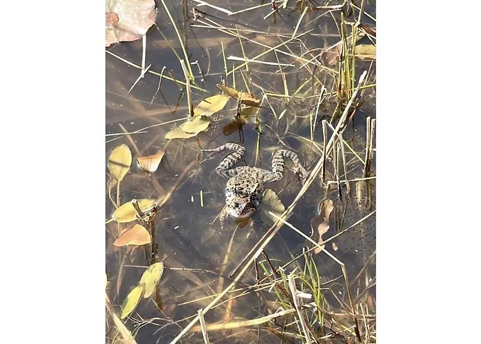 Comfortable In 公寓 波鸿